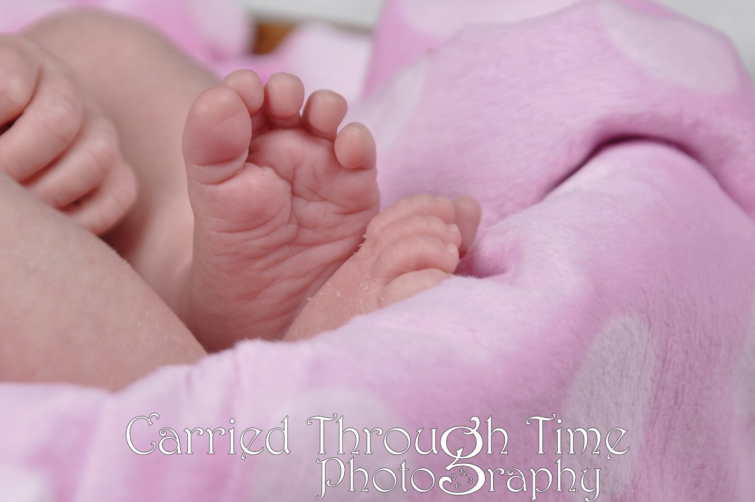 Child Portrait Package | _DSC2741.JPG